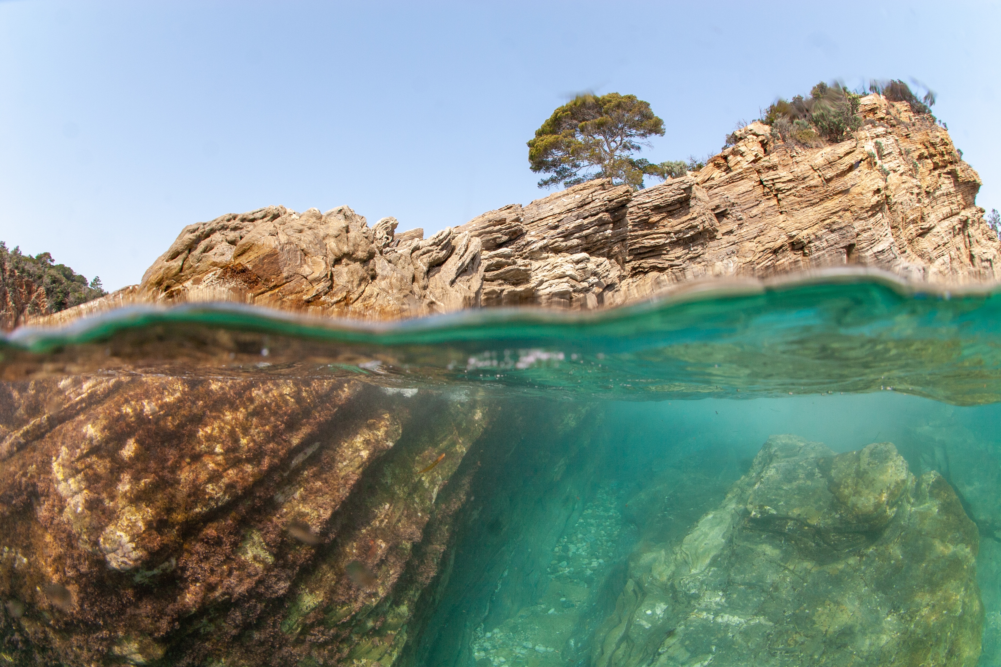 Sentier sous-marin Cavalaire