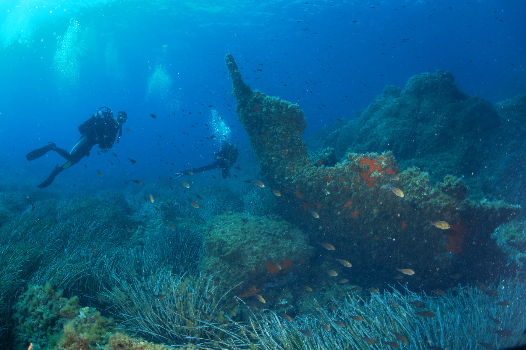 Plongée sous-marine, Chasse sous-marine,Sacs de plongée - Tous les