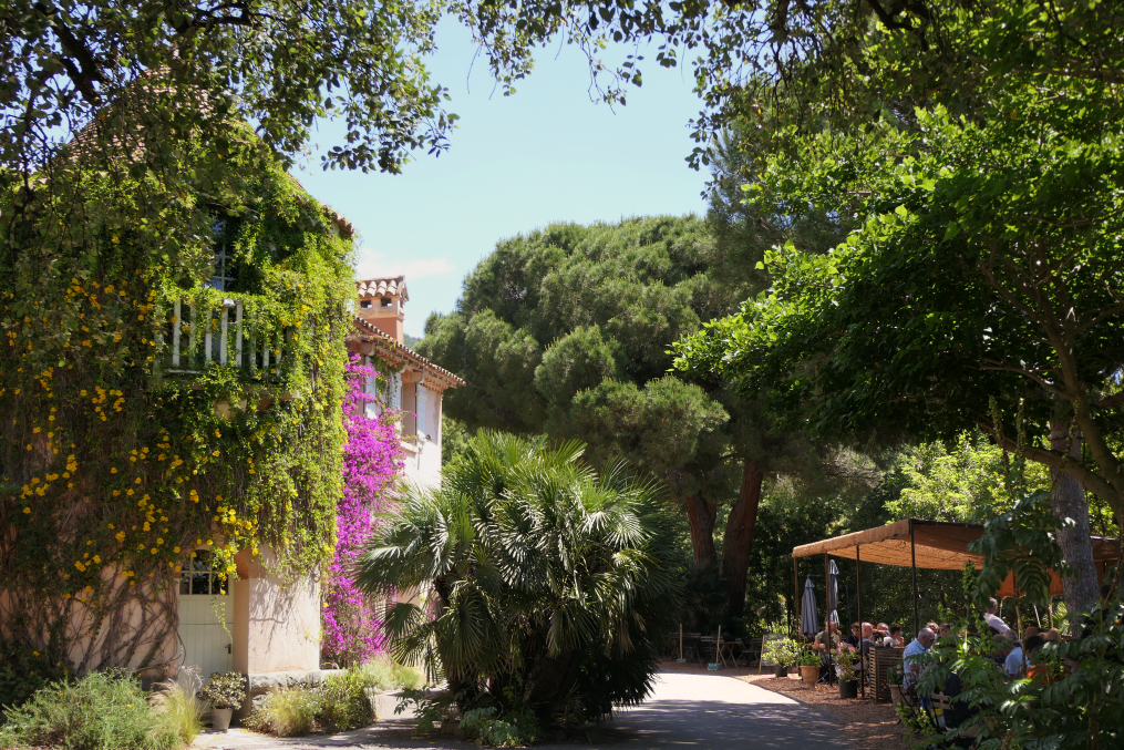 © DR - Domaine du Rayol