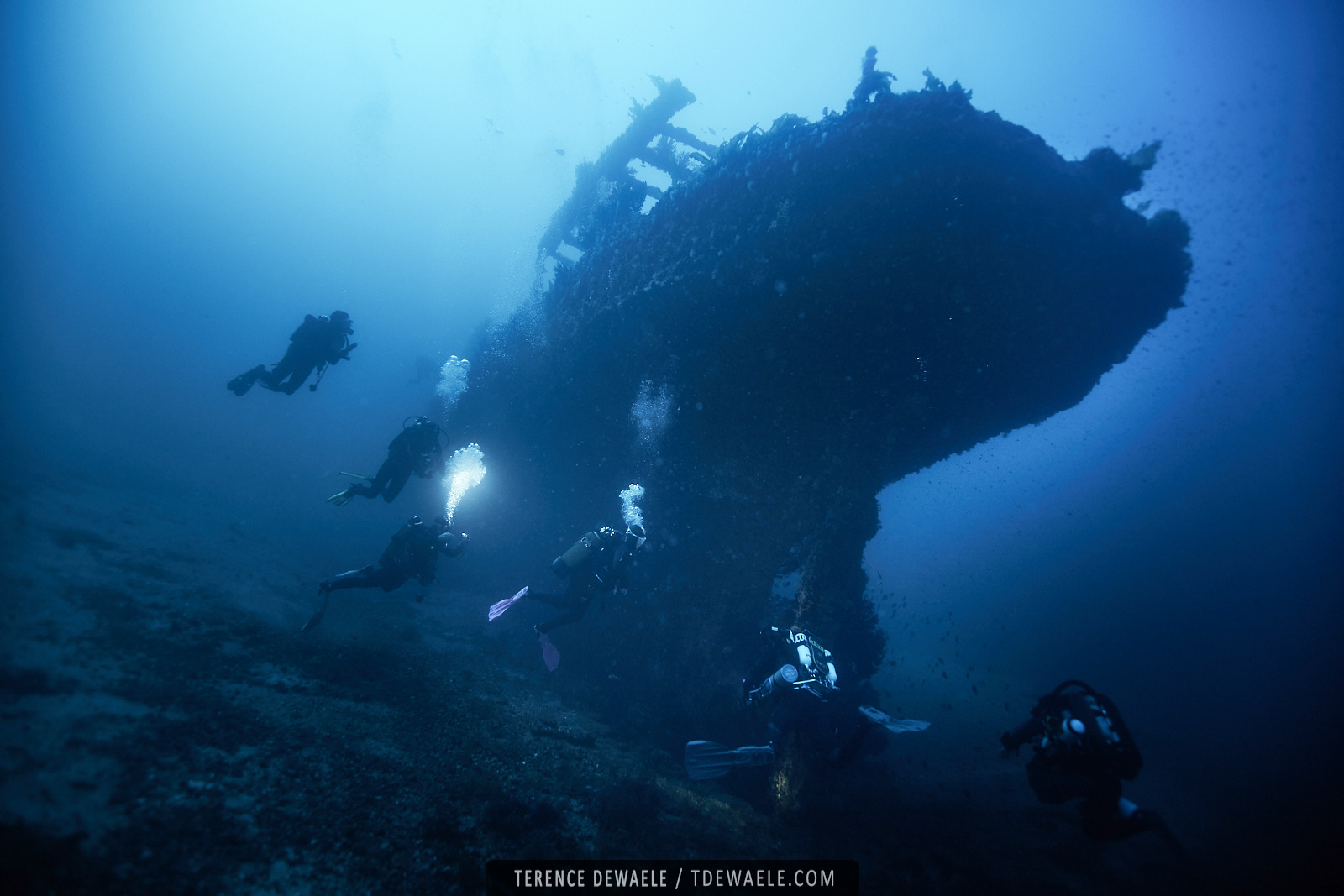 ©Bormes Plongée/Terence Dewaele