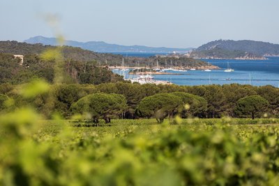 Le Cycle Porquerollais