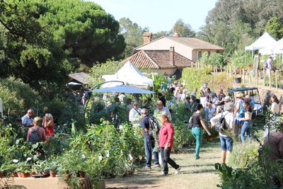 Gondwana, Fête de l'Automne