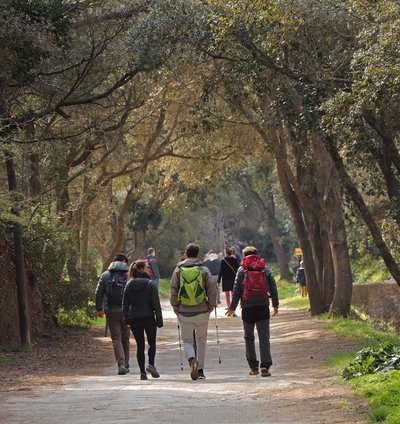 Randonneurs à Porquerolles