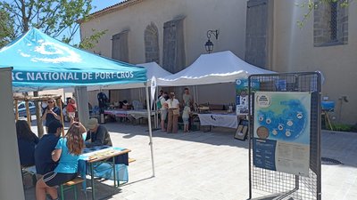 Escale Marine : Ramatuelle et le Parc national de Port Cros fêtent la Méditerranée_Ramatuelle