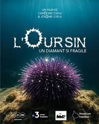 Projection "L'oursin, un diamant si fragile"_La Garde