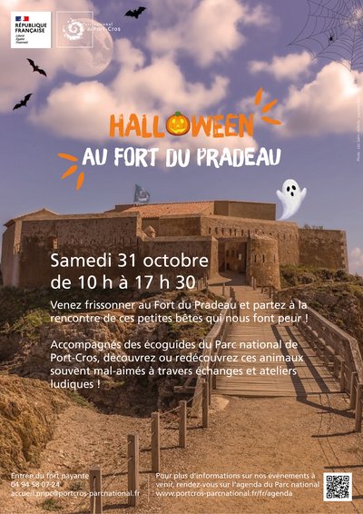 Affiche pour Halloween