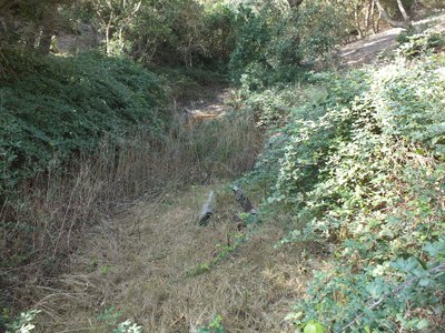 Vallon de fortuné